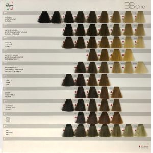 COLOR CHART палитра цветовых оттенков Picasso BBOne